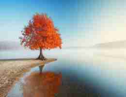 开‌源‍爬‌虫‍工​具‌